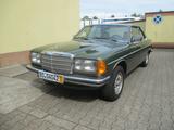 Mercedes-Benz 230 CE, Top gepflegt, nicht geschweißt - Mercedes-Benz 230 in Gelsenkirchen