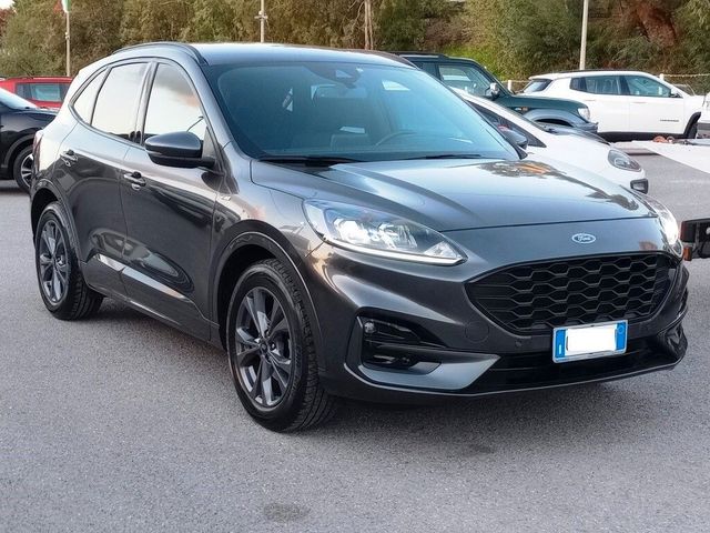 Ford Kuga 1.5 EcoBlue 120 CV aut. 2WD ST-Line X