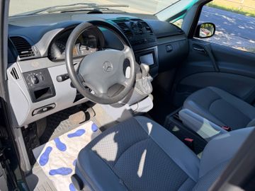 Mercedes Viano - 10