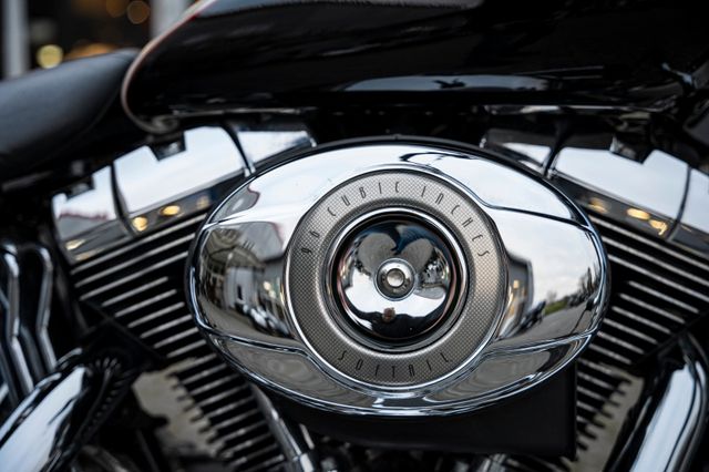 Fahrzeugabbildung Harley-Davidson FLSTN Softail Deluxe 96 CUI