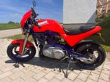 Buell S1 Lightning 1998 12.788 km seltene Farbkombi - Offers