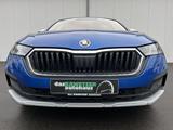 Skoda Octavia Combi 2.0 TDI DSG 4x4 Scout 181€ m.20% A - Skoda Octavia: Scout TDI