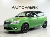 Skoda Fabia RS *Dsg*18Zoll*Tempomat* - Skoda Fabia aus 2011: RS