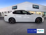 Alfa Romeo Giulia Veloce Q4 280 Automatik Giulia 2.0 Turbo  - Alfa Romeo: Weiß
