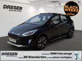Ford Fiesta Active X Panorama Klimaautom Navi PDC Sou - Ford Fiesta: Active X