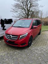 Mercedes-Benz V 250 d Sternenhimmel und Ambientebeleuchtung  - Mercedes-Benz V-Klasse: Ambiente