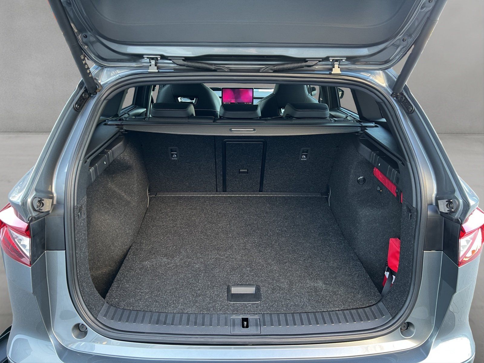 Fahrzeugabbildung SKODA Enyaq RS Suite/MAXX/PANO-DACH/AHK/HUD/DCC/ACC/
