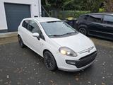 Fiat Punto Evo 1.4  TÜV 01.27 - Fiat Punto Evo mit Benzin-Antrieb: Kleinwagen, 1.4