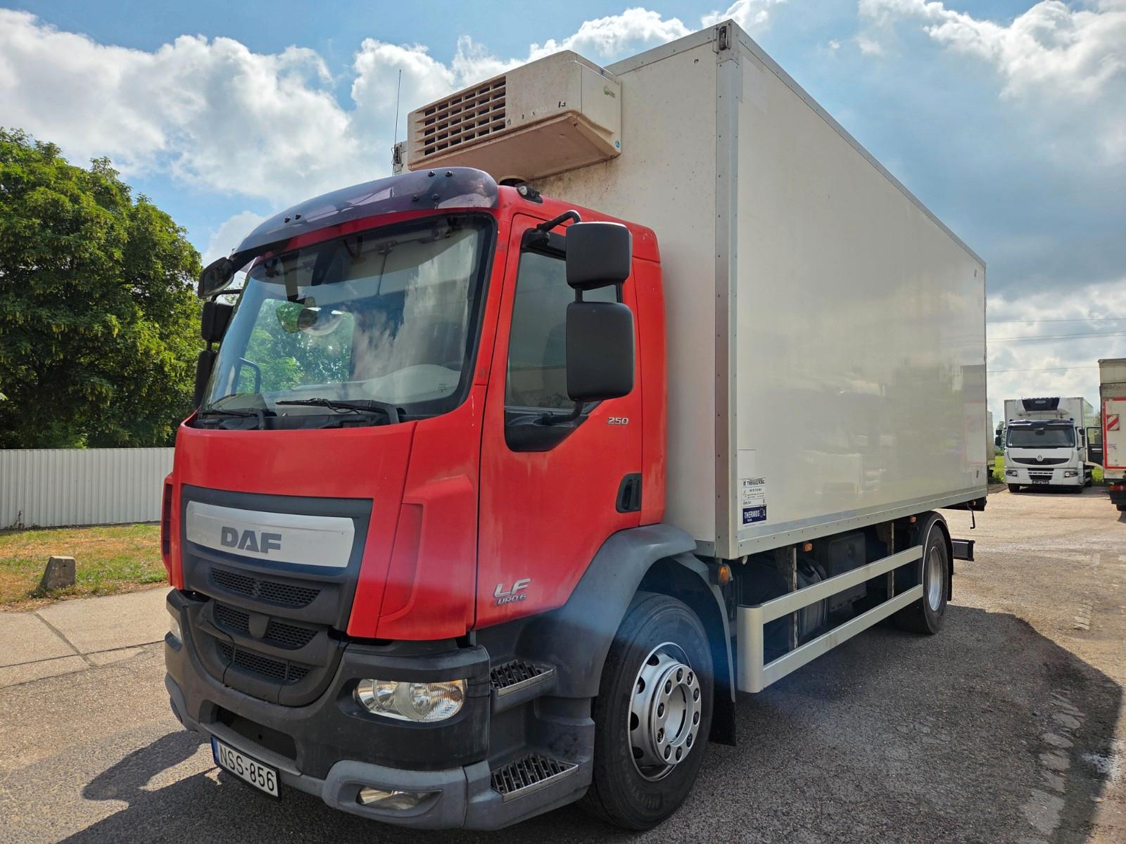 DAF LF 250 FA 18T KÜHLER, ROHRBAHNEN, FLEISCH