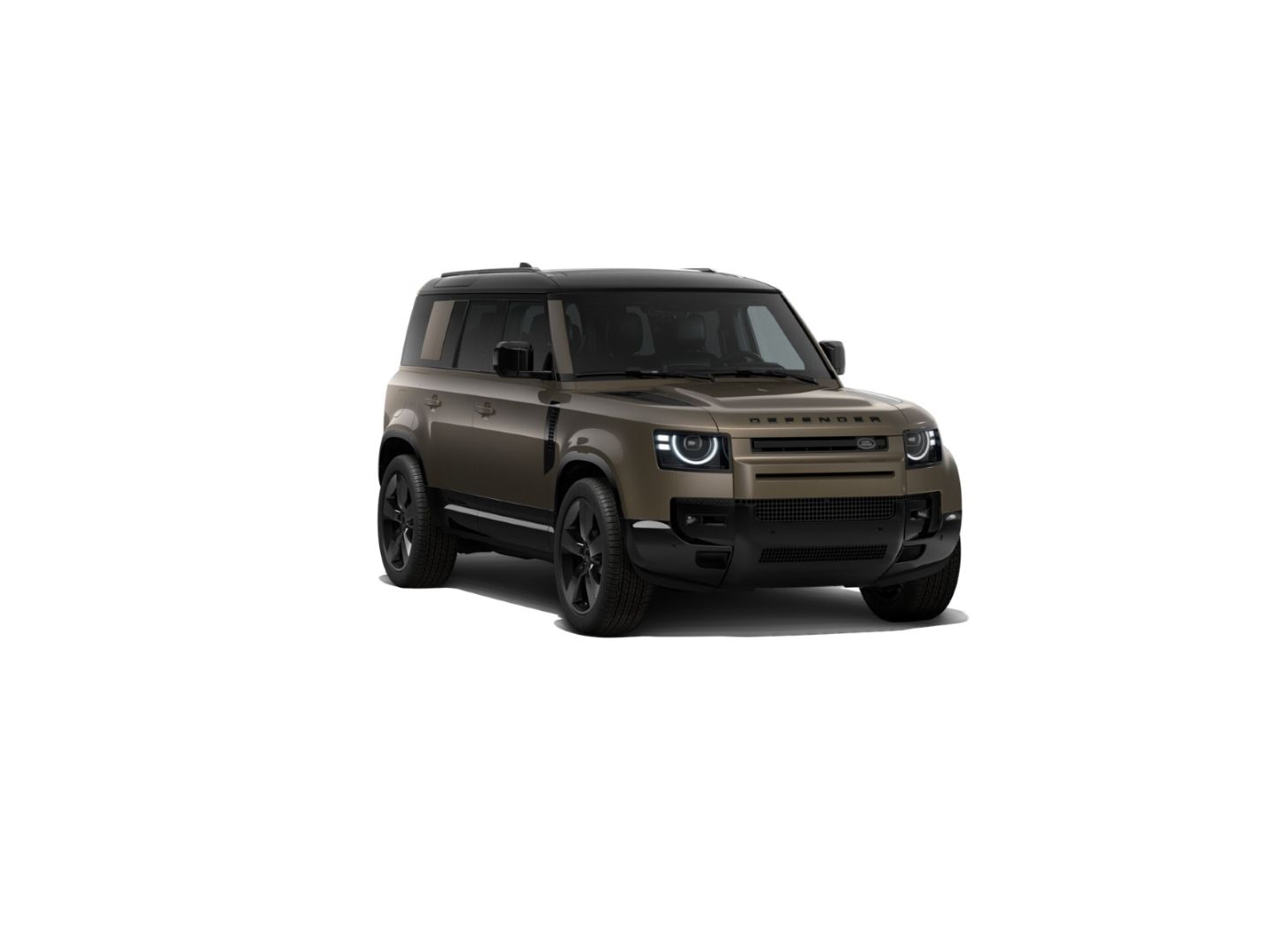 Land Rover Defender - Bild 1