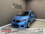 Honda Jazz 1.3 i-VTEC Comfort SHZ|Temp|PDC - Honda Jazz: 5 Türen