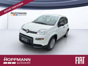 Fiat Leasing Angebot: Fiat Panda PANDINA 1.0 51 kW (70PS) GSE *CITY-PAKET*