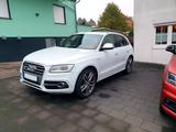 Audi SQ5 3.0 TDI competition tiptronic quattro - - Audi SQ5 Gebrauchtwagen in Köln