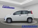 Fiat Panda 1.0 70PS Klima DAB Spurhalteass. Verkehrsz - Fiat Panda aus 2025