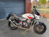 Honda CB600F Hornet (PC41) - HONDA CB 600 F HORNET