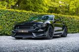 Ford Mustang Shelby GT350 - Ford Mustang: Shelby Gt350