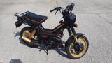 Malaguti Fifty Full CX - MALAGUTI MOFA