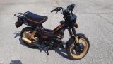 Malaguti Fifty Full CX - Offers matching your search criteria