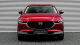 Mazda CX-30 SKY-G 122 AT Homura M+S - Mazda CX-30 mit Hybrid-Antrieb