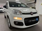 Fiat Panda Easy 1.2*SHZ*DAB+*FRONTSCHEIBENHEIZUNG* - Fiat Panda mit Benzin-Antrieb: Kleinwagen, Schaltgetriebe