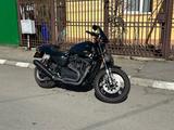 Harley-Davidson XR1200X  - Angebote
