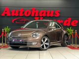 Volkswagen Beetle Design LED/NAVI/PDC/**62.000KM**/TOP - Volkswagen Beetle in Duisburg