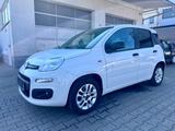 Fiat Panda 1.2 8V More LM Klima PDC 1.Hand ~ TÜV NEU - Fiat Panda: More