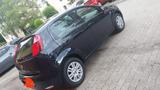 Fiat Punto 1.2 8V - - gebrauchte Fiat Punto aus dem Jahr 2018