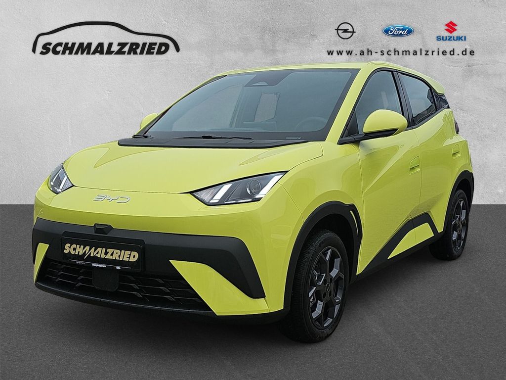 Image of BYD DOLPHIN SURF