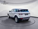 Land Rover Range Rover Evoque Pure/PANORAMA/KAMERA - gebrauchte Land Rover Range Rover Evoque aus dem Jahr 2014