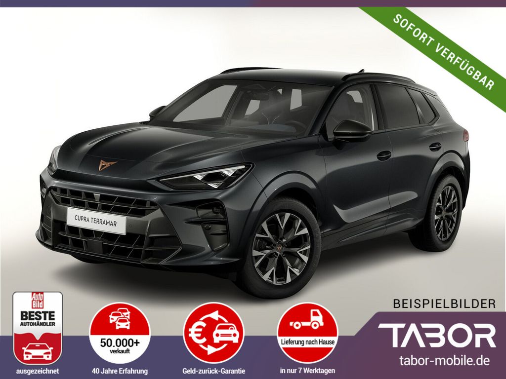 Terramar 1.5 eTSI 150 DSG Nav HUD EdgeP LED SHZ