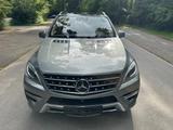 Mercedes-Benz ML 350 AMG-Line Super optik Top Ausstattung - Mercedes-Benz Ml