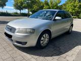 Audi A3 1.6 Ambiente Ambiente - gebrauchte Audi A3 aus dem Jahr 2003