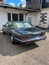 Jaguar Daimler Xj40 4.0l im Originalzustand - Jaguar Daimler: 4.0