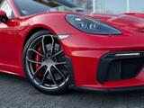 Porsche 718 Cayman GT4 Clubsport *Schale*Alcantara*Bose* - Porsche Cayman: Gt4 Clubsport