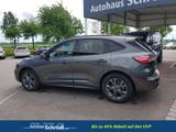Ford Kuga ST-Line X 1.5 EcoBoost 110 kW (150 PS), ... - Ford Kuga: Ecoboost
