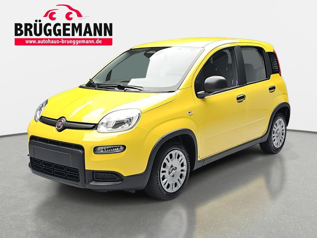 Fiat PANDA 1.0 GSE HYBRID CITY PAKET, DAB