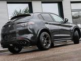 Alfa Romeo Stelvio Quadrifoglio 2,9l Q4 vom AR Vertragshänd - Alfa Romeo mit Benzin-Antrieb