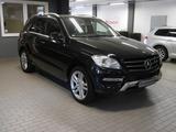 Mercedes-Benz ML 350 CDI 4MATIC - Pano - AHK - Mercedes-Benz ML 350 Gebrauchtwagen in Bremen