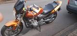 Honda Hornet CB 600 F - HONDA 2005 HORNET 600
