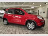 Fiat Panda Hybrid 1.0 PDC Klima Temp. dig.Kombiinstr. - Fiat Panda Gebrauchtwagen in Dortmund