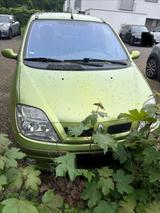 Renault Scenic Authentique 1.4 16V Authentique - Renault Scenic Authentique mit Benzin-Antrieb