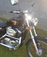 Harley-Davidson XLH 1200 Custom - 1. Hand - HARLEY-DAVIDSON XLH