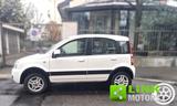 Fiat FIAT Panda 1.3 MJT 16V DPF 4x4 Climbing CON SOLI - Fiat Panda Climbing mit Diesel-Antrieb