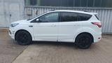 Ford Kuga ST-Line, Navi, Kamera - Ford Kuga: Weiß