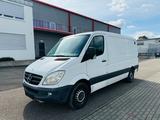 Mercedes-Benz Sprinter II Kasten 316/316 NGT/316 LGT+AHK+2xPDC - Mercedes-Benz Sprinter: Ngt