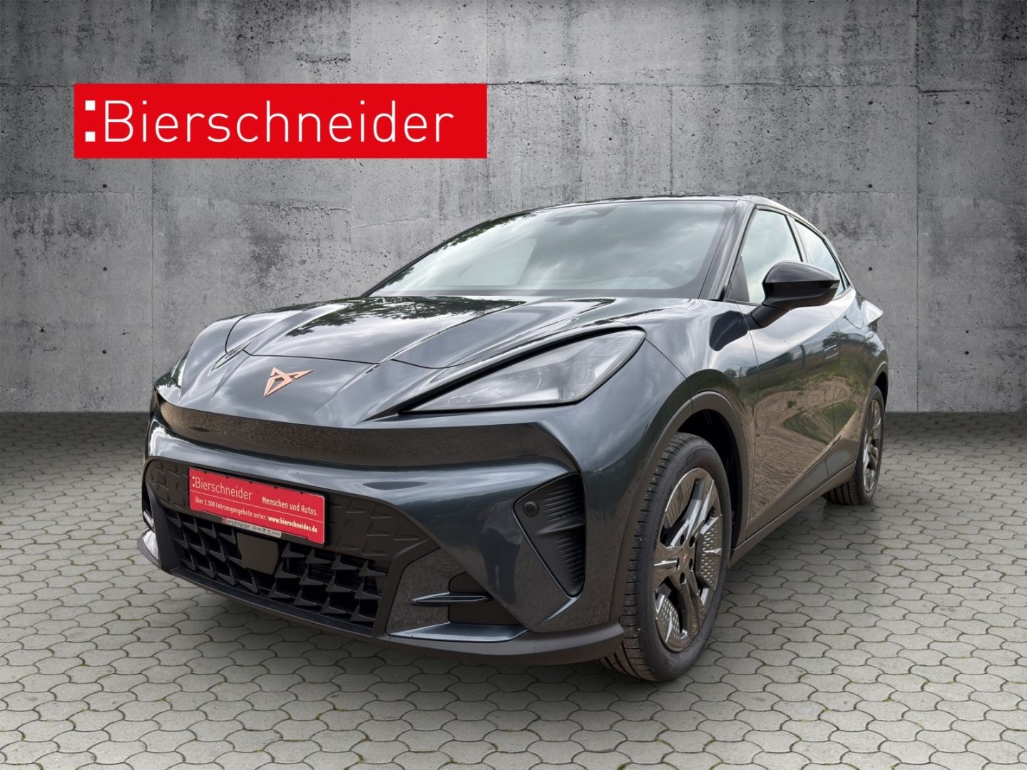 Cupra Raval 52 kWh Endurance Edition Dynamic KAMERA FU