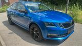 Skoda Octavia Lim. Clever - Skoda Octavia: Winterreifen