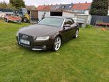 Audi audi a5 cabrio 3.0 tdi Quatro - Audi 80 mit Diesel-Antrieb: Cabrio