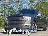Ford F 150 USA F150 Shelby Super Snake - Ford: Usa